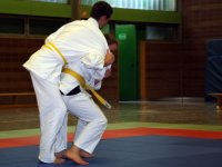 Seoi-Nage by Julia