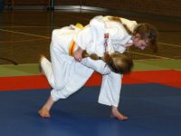 Harai Goshi